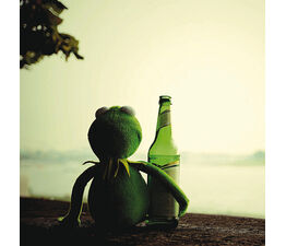 Soft Frog With Beer