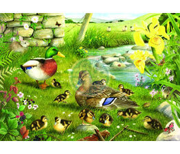 The Brampton Collection - BIG500 Piece - Ducks To Water