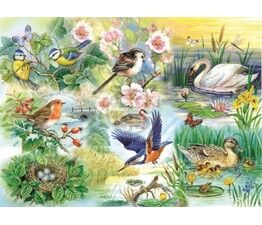The Clova Collection - BIG250 Piece - Feathered Friends