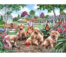 The Drummuir Collection - BIG500 Piece - Mucky Pups