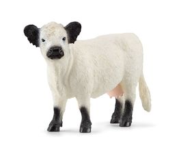 Schleich - Galloway Cattle