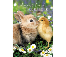 Easter Card - Furry Friends