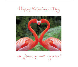 Valentine Card - Flamin-go Together