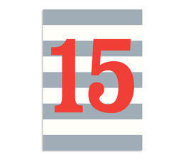 15th Birthday - Grey Stripe