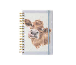 Wrendale Designs - A5 Cow Notebook - Mooo Blue