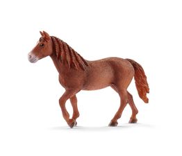 Schleich - Morgan Horse Mare - 13870