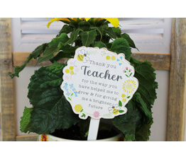 Langs - Teacher Plant Stick