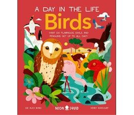 A Day in The Life Birds Book