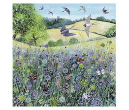 Butterflies And Wildflowers