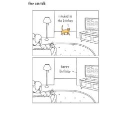 Cat Walking Past Lounge