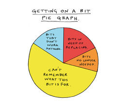 Getting On A Bit Pie Chart