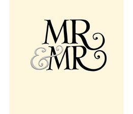 Mr &amp; Mr