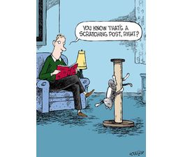 Scratching Post