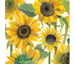 Sunflowers Gower Coast