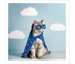 Super Cat