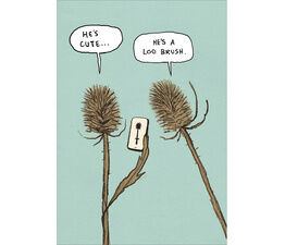 Two Teasels Looking At A Mobile Phone