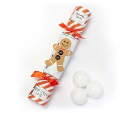 The Somerset Toiletry Co. - Gingerbread Man Novelty Holiday Bath Fizzers