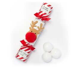 The Somerset Toiletry Co. - Reindeer Novelty Holiday Bath Fizzers