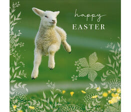 Easter Card - Jumping Lamb