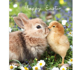 Easter Card - Rabbit with Chick