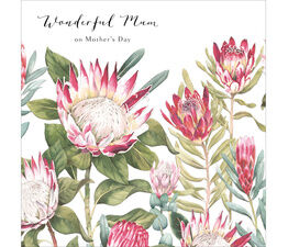 Mothers Day Card - King Protea