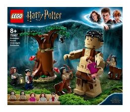 LEGO® Harry Potter™ - Forbidden Forest: Umbridge's Encounter - 75967
