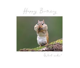 Chipmunk With Cheeks Full Of Food