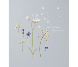 Cow Parsley And Violets