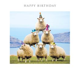 Happy Birthday - Stacking Sheep