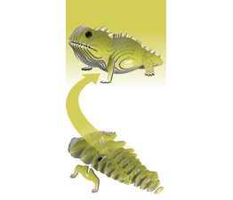 EUGY Tuatara