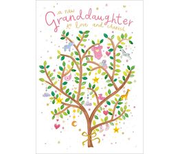 New Baby Granddaughter