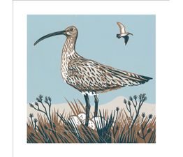 The Eco Friendly Card Co - Curlew on Guard Card