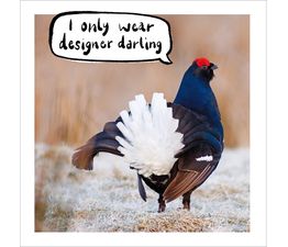 Black Grouse Lyrurus Tetrix