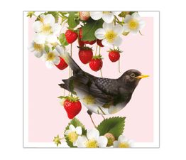 Blackbird And Strawberries
