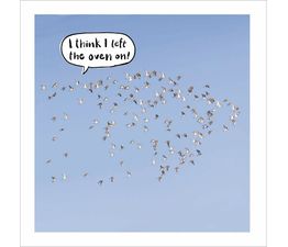 Golden Plover Flock Flying Over Norfolk