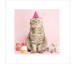 Grey Cat With Birthday Hat And Cupcake