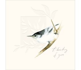 Nuthatch Thinking Of You