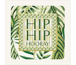 Patterned Borders On Green Calathea