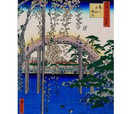 Wisteria At Kameido Tenjin Shrine