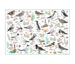 Otter House - Jigsaw Madeleine Floyd Seabirds - 500 Piece - 75510