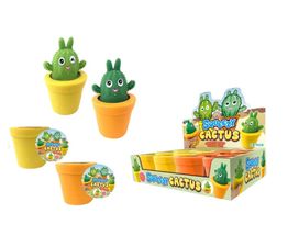 Squeeze Cactus Assortment