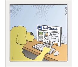Buttbook