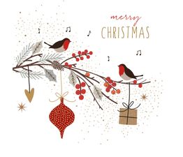 Christmas Card - Robins On Branch