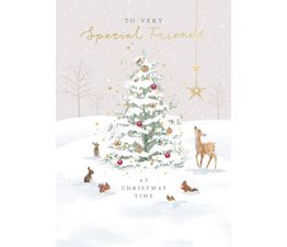 Christmas Card - Special Friends