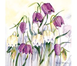 Purple And White Flowers