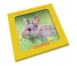 Easter Card - Rabbit In A Field With Buttercups