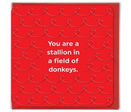 Valentines Day Card - Stallion In A Field Of Donkeys