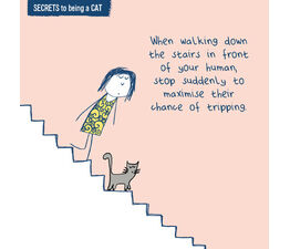 Stair Trap