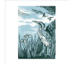 The Eco Friendly Card Co - Bittern Card