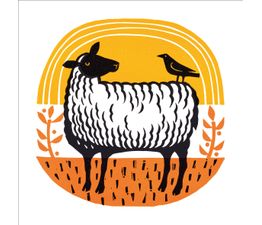 The Eco Friendly Card Co - Encounter in the Field Card